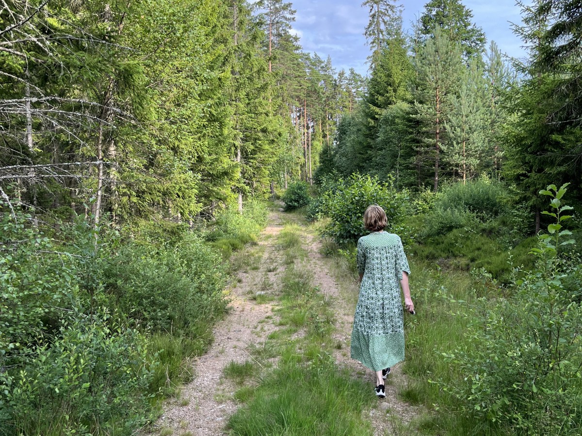 Our Swedish summer&nbsp;adventure